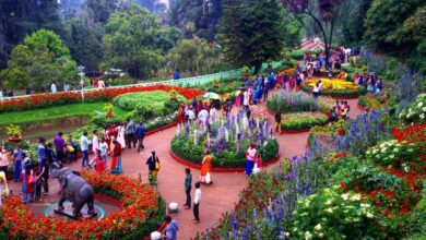 Photo of The Show Stopper of the South India – Ooty Flower Show