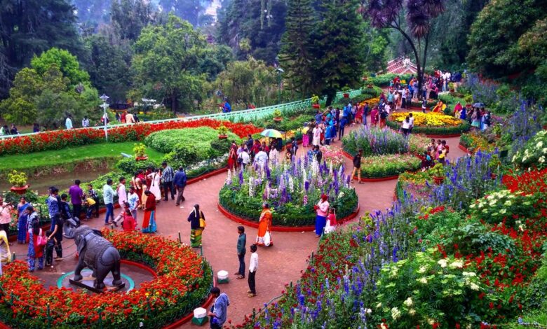 Photo of The Show Stopper of the South India – Ooty Flower Show